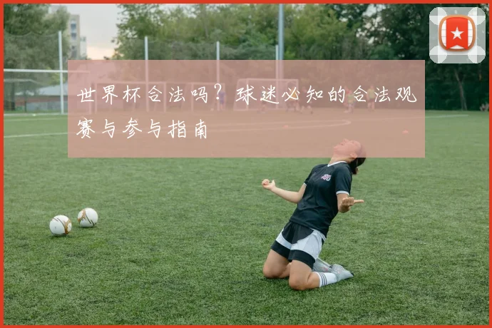 世界杯合法吗？球迷必知的合法观赛与参与指南