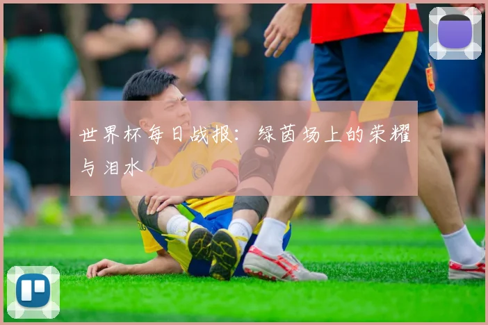 世界杯每日战报：绿茵场上的荣耀与泪水