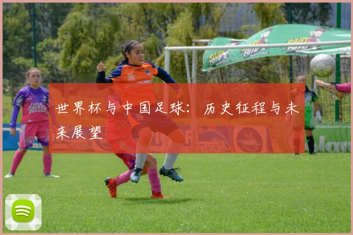 世界杯与中国足球：历史征程与未来展望