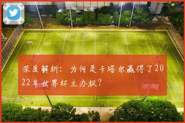 深度解析：为何是卡塔尔赢得了2022年世界杯主办权？