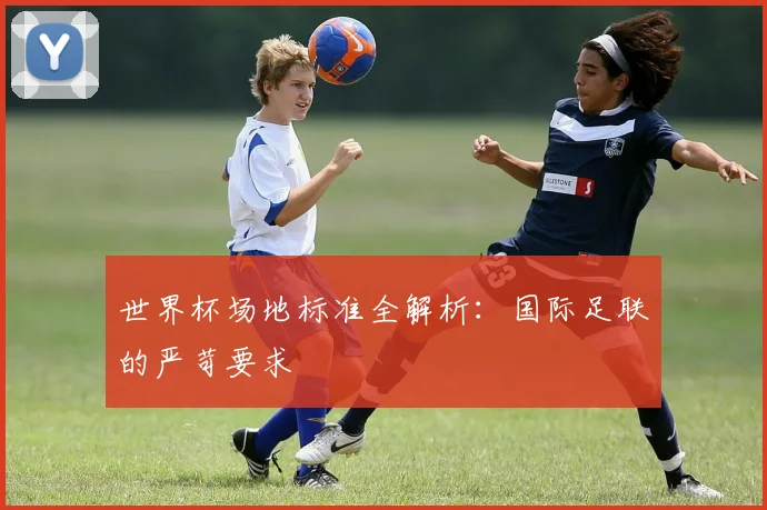 世界杯场地标准全解析：国际足联的严苛要求