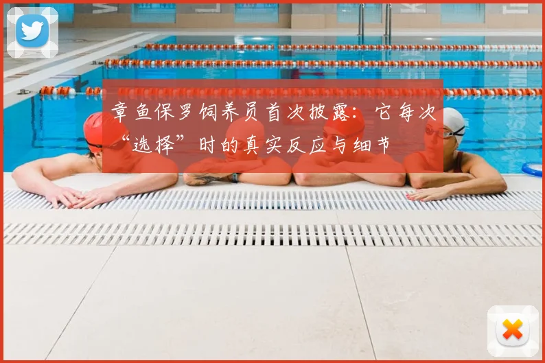 章鱼保罗饲养员首次披露：它每次“选择”时的真实反应与细节