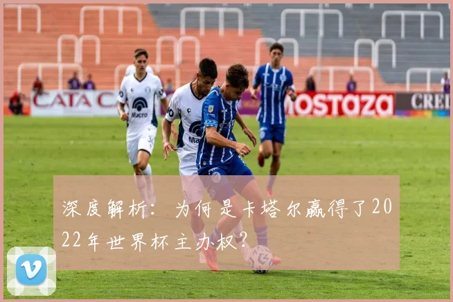 深度解析：为何是卡塔尔赢得了2022年世界杯主办权？