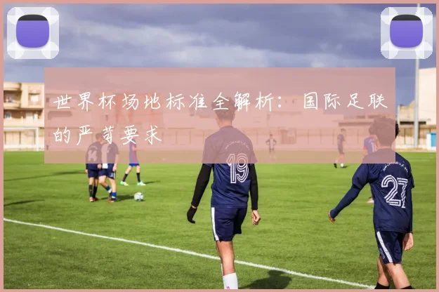 世界杯场地标准全解析：国际足联的严苛要求
