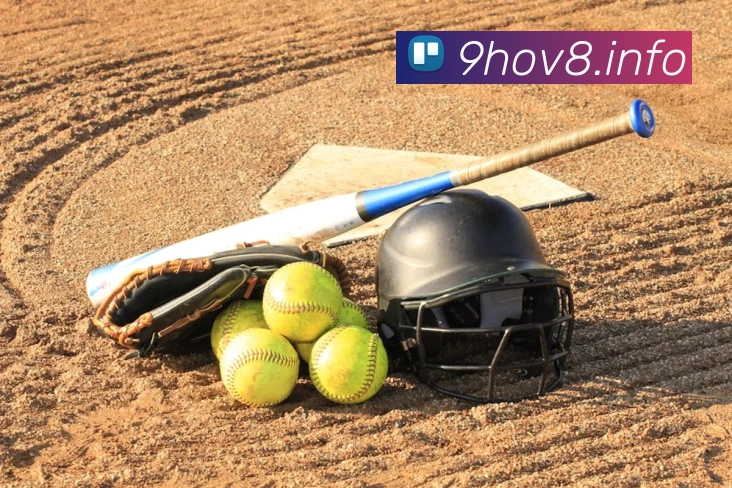 九游体育官方平台平台生态图