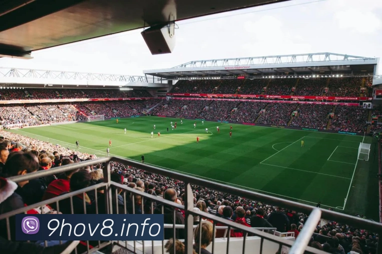 九游体育官方平台全站App